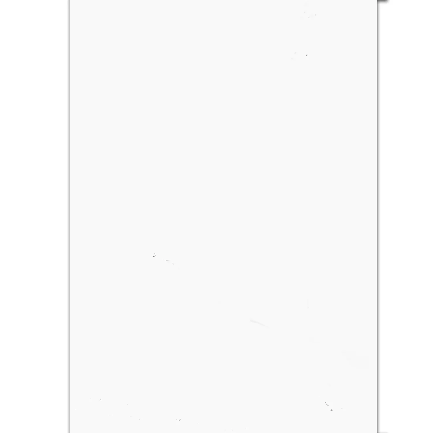 Wandfliesen Athlet Weiss Matt 60x120cm