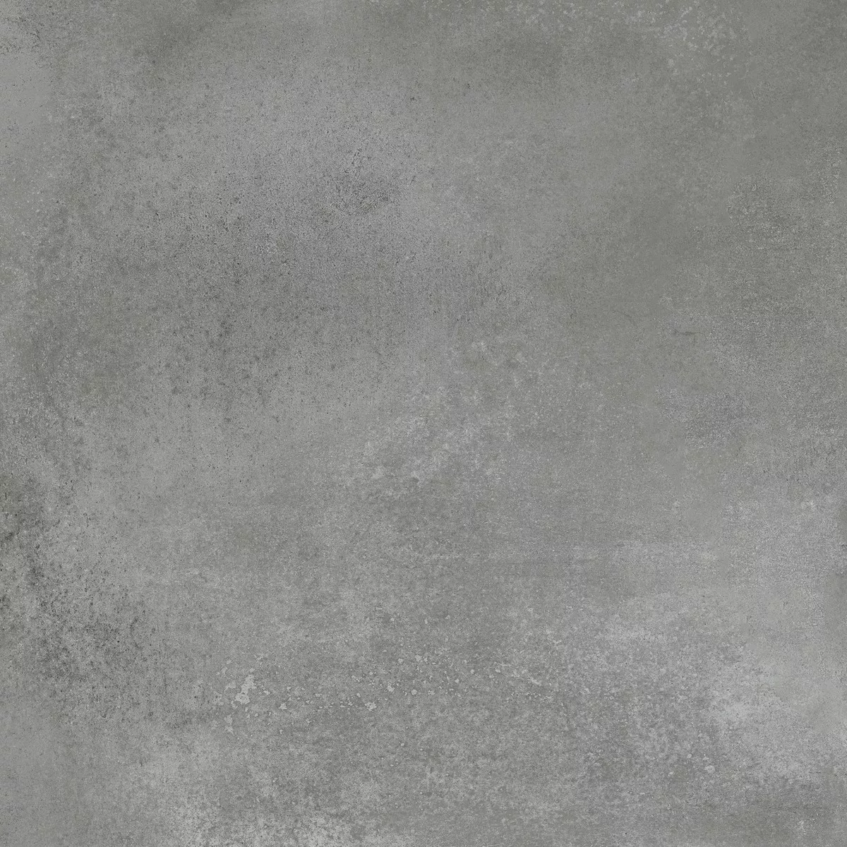 Bodenfliesen Belgium Betonoptik Grau 60x60 cm